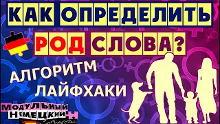 КАК ОПРЕДЕЛИТЬ РОД СЛОВА?