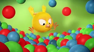 Ball Pool with Chicky | Where's Chicky? | Cartoon Collection in English for Kids | New episodes