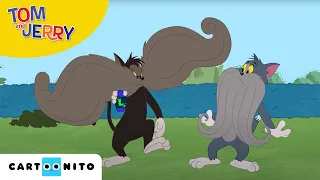 Tom și Jerry | Mustața | Cartoonito