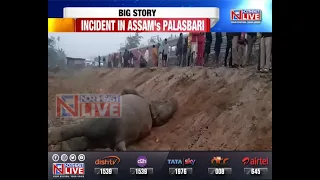 Assam: Speeding train mows down jumbo