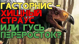 Гасторнис или же диатрима, Соперник форорака или гусь переросток?