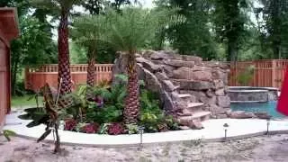 Pool Landscaping Houston Palm Trees for Pools palm tree pool landscape Houston