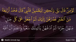 Al-Baqarah ayat 260