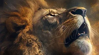 Lion of Judha is Roaring!🦁