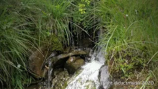 Wasserreichtum und Qualität - Trinkwasser