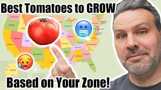 Best Tomato to Grow in YOUR Zone