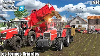 Harvesting POTATO into the BOXES│LES FERMES BRIARDES │FS 22│14