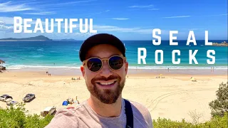 AMAZING! Seal Rocks, Australia - Wild Animals - Kangaroo