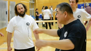 Defence against pushing by grandmaster Sam Chin