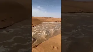 Saudi Arabia River in Desert!