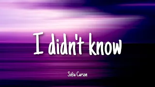 I didn't know - Sofia Carson | Lyrics [Purple Hearts]
