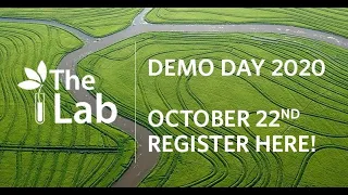 The Lab: Demo Day 2020