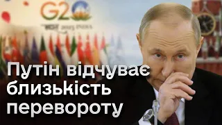 👀 Кіт із дому – миші в танець! Путін не виїздить з країни, бо боїться перевороту