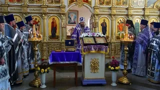 8 ая годовщина архиерейской хиротонии епископа Филиппа г  Карасук 2020г