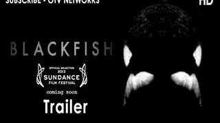 Blackfish Official Trailer #1 (2013) - Documentary Movie - OTV Trailers