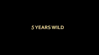 Wildways - 5 Years Wild (Minsk, RE:Public, 24.11.2019)