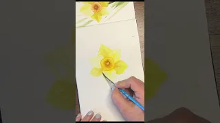 Daffodils are here. Welcome spring. Let’s paint!