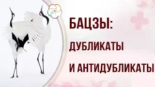 БАЦЗЫ: Дубликаты и антидубликаты в астрологической карте Бацзы. Прочитать судьбу!