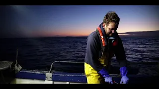 A Day In The Life Of A Cornish Fisherman