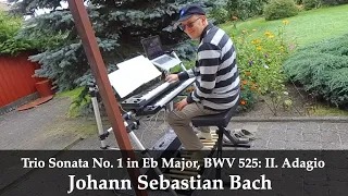Trio Sonata No. 1 in Eb Major, BWV 525: II. Adagio | Johann Sebastian Bach | Hauptwerk Giubiasco