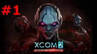 XCOM 2: War of the Chosen - Триумфальное возвращение командера). Серия #1