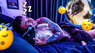 PASSEI UMA NOITE COM A SKY 😍 🐶 !! * gravei dormindo e tudo 💤 *