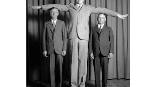 Роберт Уодлоу самый высокий человек в Истории