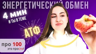 Энергетический обмен за 4 мин | ЕГЭ Биология 2021