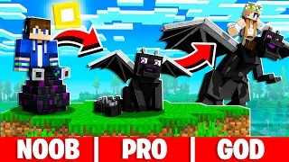 How to TRAIN Your BABY DRAGON PET in Minecraft!