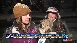 First snowfall of the year brings wintry mix