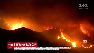 У Каліфорнії вирують пекельні лісові пожежі