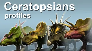 Ceratopsians profiles