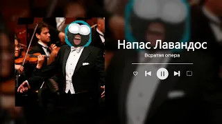 Напас Лавандос, НО ЭТО ОПЕРА!