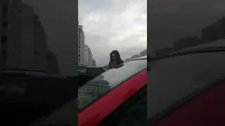 Появилось новое видео конфликта в Новочебоксарске: и там не все так однозначно