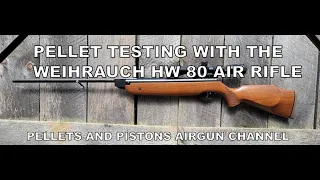 Pellet Testing With The Weihrauch HW80 Air Rifle