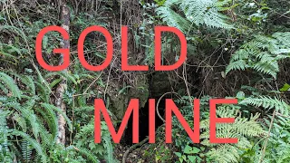 Mt Aurum Gold Mine - Getting Lost - D'Aguilar National Park Queensland