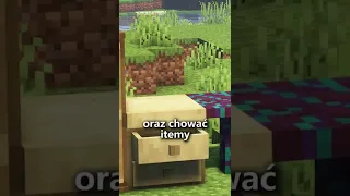 Odrzucone pomysły w Minecraft MEBLE #shorts