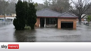 Torrential rain triggers flash floods in Sydney