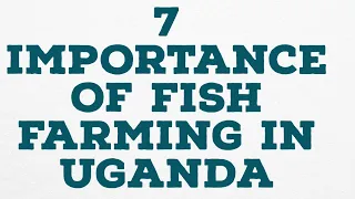 7 IMPORTANCE OF FISH FARMING IN UGANDA