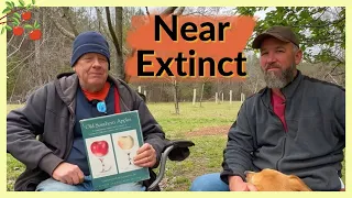 Larry Stephenson discusses his Southern Apple Collection | Over 100 Rare Varieties