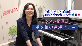 レッスン動画③手のひらの筋肉と骨、腕との連携　Pianist小ノ澤幸穂