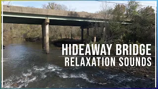 Nature’s Reflections Under the Bridge