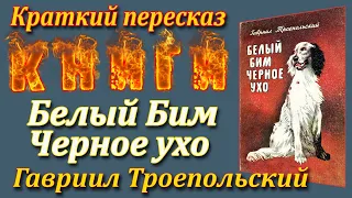 Белый Бим Черное ухо. Гавриил Троепольский. Краткий пересказ. Пламя мудрости.