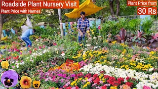 Roadside Plant Nursery Visit ||  फूलों के पौधे मात्र 30 रुपये, हैंगिंग पौधे 30 रुपये, Plant Price 🌻