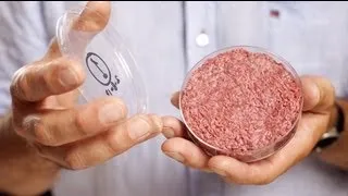 How world's first test-tube burger was grown