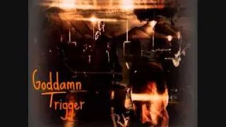Serj Tankian - The Goddamn Trigger (Audio Mixed - Remix #1) [OLD]