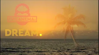 DREAM. Surf Porn  ( Boards of canada - Satellite Anthem Icarus )