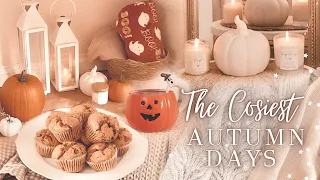 COZY FALL DAYS IN MY LIFE 🍂 Fall baking pumpkin muffins, declutter, Fall decor 2021 Autumn vlog