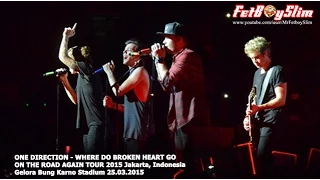 1D ONE DIRECTION - WHERE DO BROKEN HEART GO live in Jakarta, Indonesia 2015