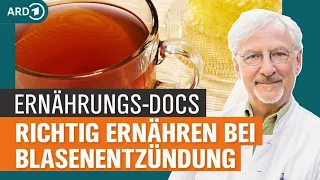 Blasenentzündung mit Gemüse und Gewürzen behandeln | Die Ernährungs-Docs | NDR